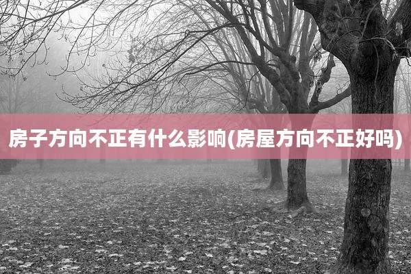 房子方向不正有什么影响(房屋方向不正好吗)