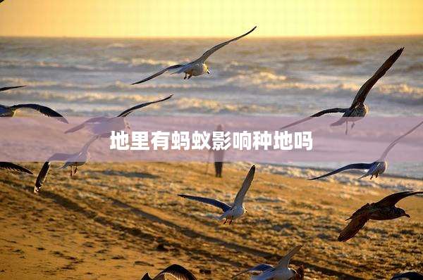 地里有蚂蚁影响种地吗