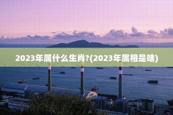 2023年属什么生肖?(2023年属相是啥)