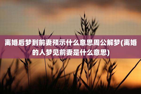 离婚后梦到前妻预示什么意思周公解梦(离婚的人梦见前妻是什么意思)
