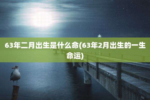 63年二月出生是什么命(63年2月出生的一生命运)