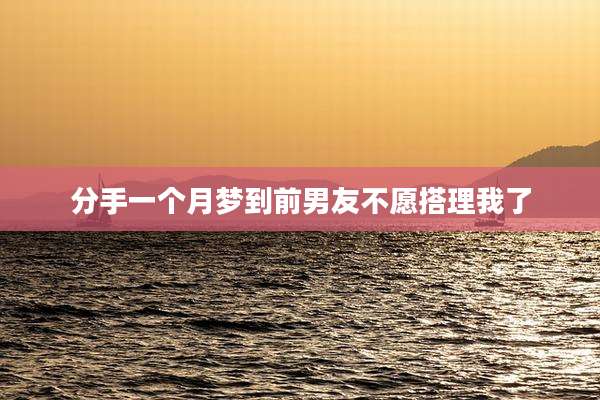 分手一个月梦到前男友不愿搭理我了