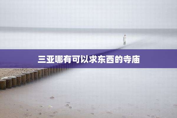 三亚哪有可以求东西的寺庙