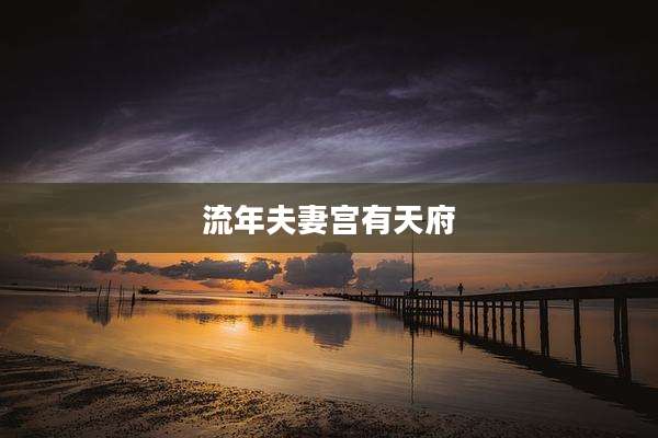 流年夫妻宫有天府