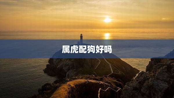 属虎配狗好吗