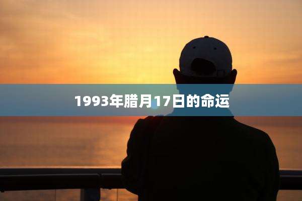 1993年腊月17日的命运