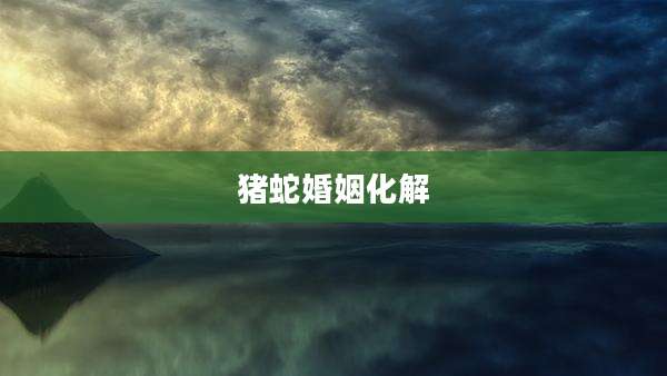 猪蛇婚姻化解