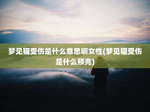 梦见猫受伤是什么意思啊女性(梦见猫受伤是什么预兆)