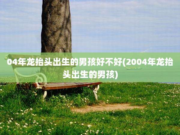 04年龙抬头出生的男孩好不好(2004年龙抬头出生的男孩)