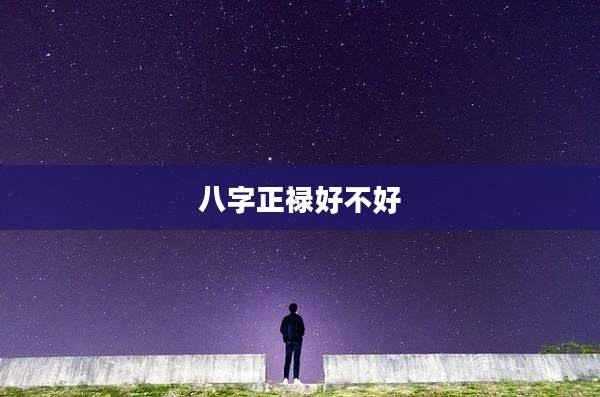 八字正禄好不好