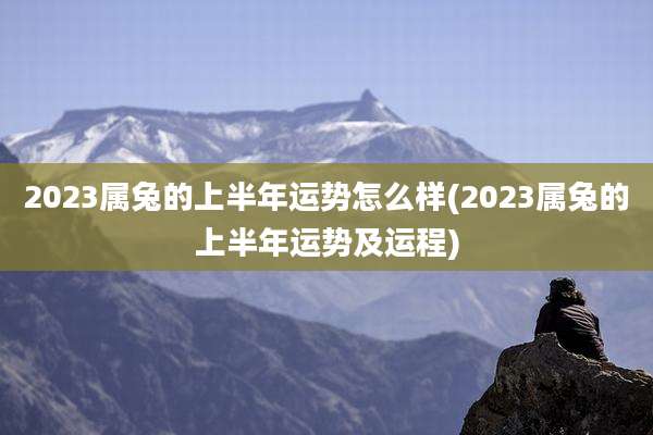 2023属兔的上半年运势怎么样(2023属兔的上半年运势及运程)