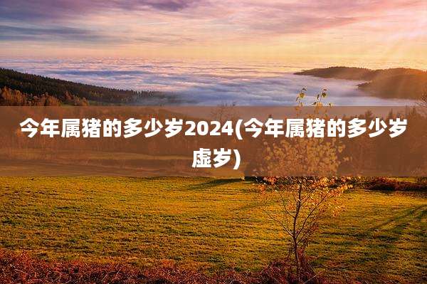 今年属猪的多少岁2024(今年属猪的多少岁 虚岁)
