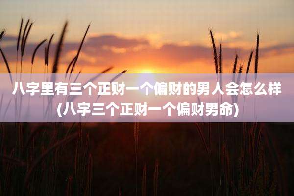 八字里有三个正财一个偏财的男人会怎么样(八字三个正财一个偏财男命)