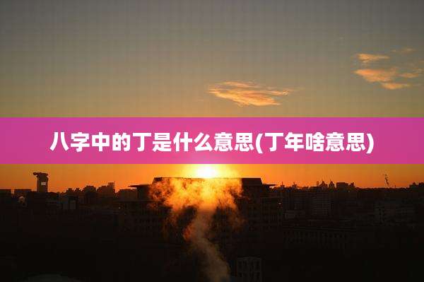 八字中的丁是什么意思(丁年啥意思)