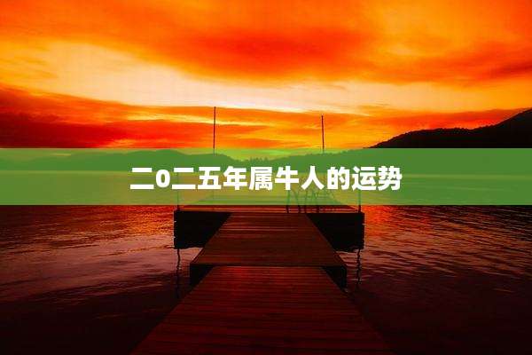 二0二五年属牛人的运势