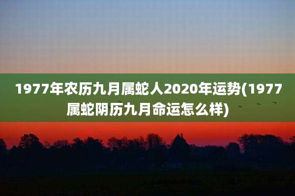 1977年农历九月属蛇人2020年运势(1977属蛇阴历九月命运怎么样)