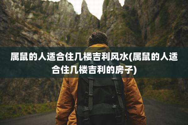 属鼠的人适合住几楼吉利风水(属鼠的人适合住几楼吉利的房子)