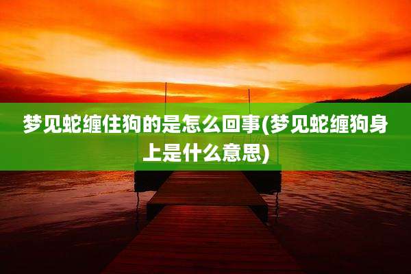 梦见蛇缠住狗的是怎么回事(梦见蛇缠狗身上是什么意思)
