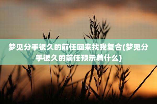 梦见分手很久的前任回来找我复合(梦见分手很久的前任预示着什么)