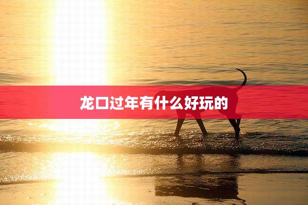 龙口过年有什么好玩的