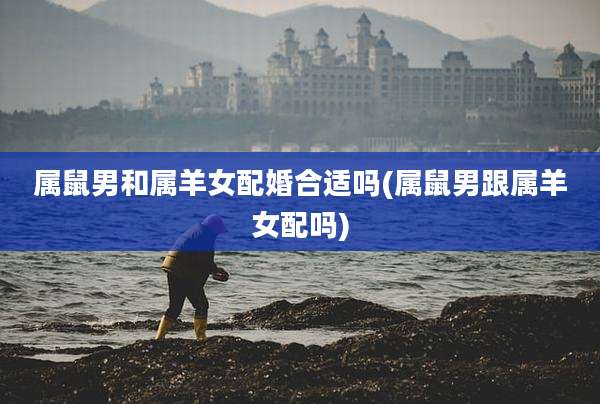 属鼠男和属羊女配婚合适吗(属鼠男跟属羊女配吗)