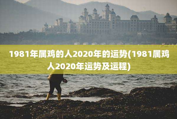 1981年属鸡的人2020年的运势(1981属鸡人2020年运势及运程)