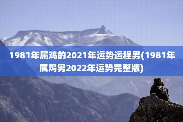 1981年属鸡的2021年运势运程男(1981年属鸡男2022年运势完整版)