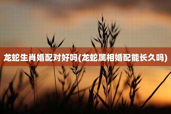 龙蛇生肖婚配对好吗(龙蛇属相婚配能长久吗)