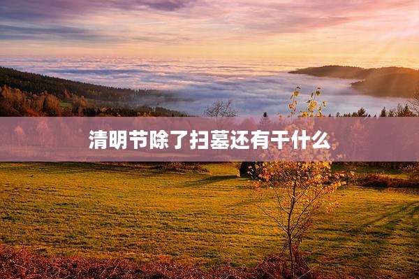 清明节除了扫墓还有干什么