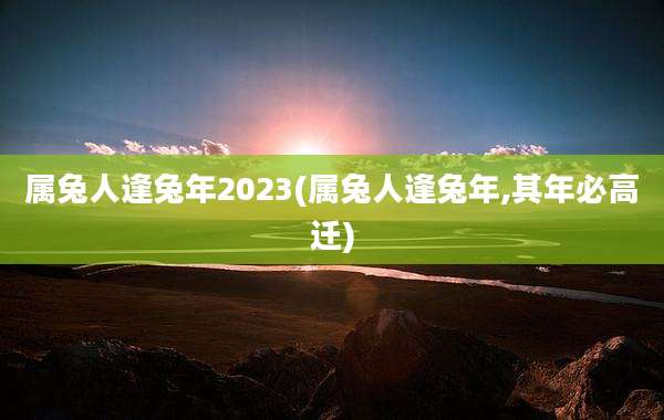 属兔人逢兔年2023(属兔人逢兔年,其年必高迁)