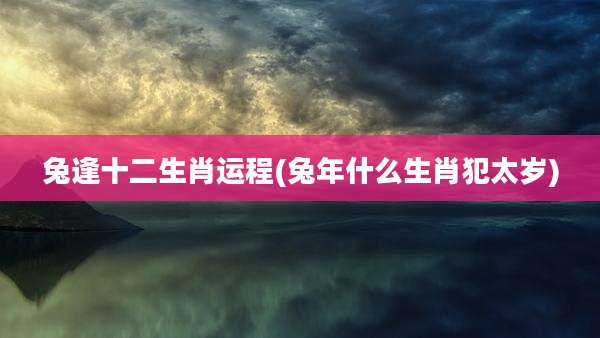 兔逢十二生肖运程(兔年什么生肖犯太岁)