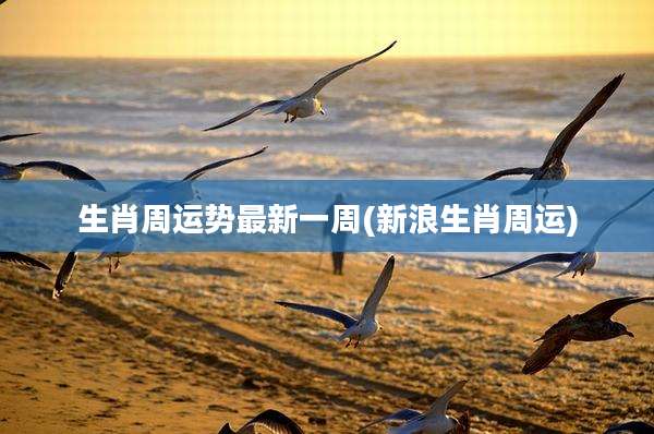 生肖周运势最新一周(新浪生肖周运)