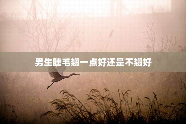 男生睫毛翘一点好还是不翘好