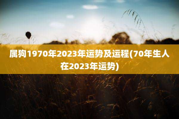属狗1970年2023年运势及运程(70年生人在2023年运势)