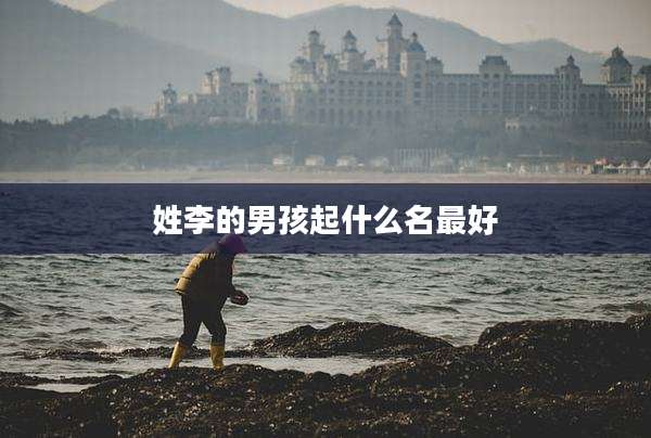 姓李的男孩起什么名最好
