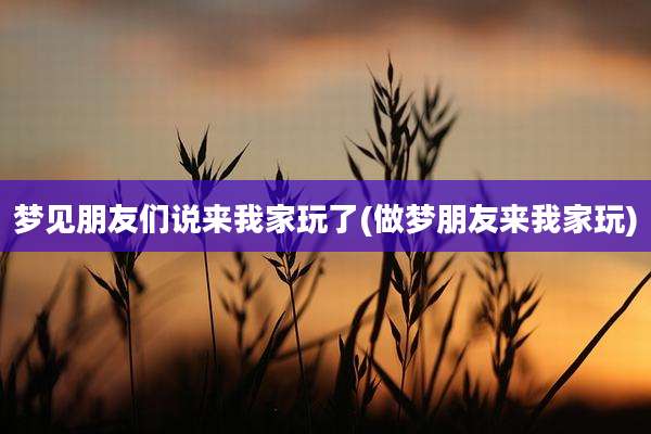 梦见朋友们说来我家玩了(做梦朋友来我家玩)