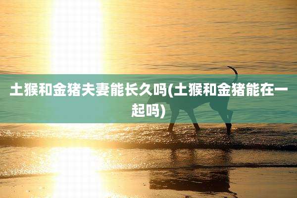 土猴和金猪夫妻能长久吗(土猴和金猪能在一起吗)