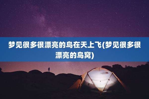 梦见很多很漂亮的鸟在天上飞(梦见很多很漂亮的鸟窝)