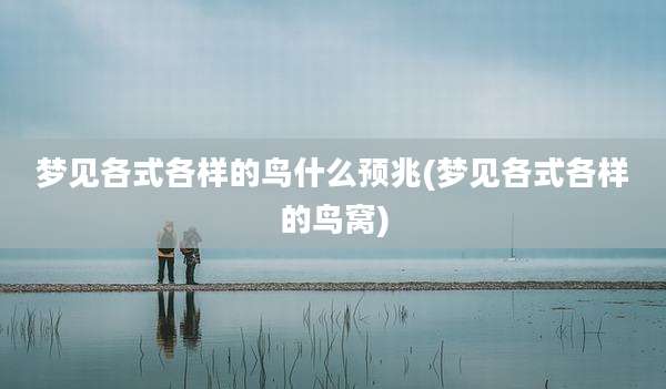 梦见各式各样的鸟什么预兆(梦见各式各样的鸟窝)
