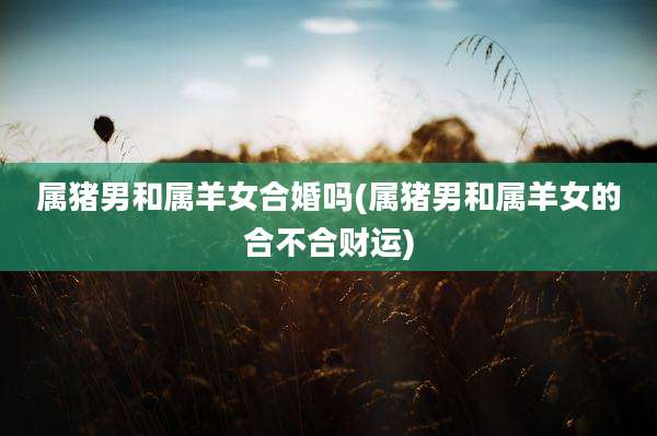 属猪男和属羊女合婚吗(属猪男和属羊女的合不合财运)