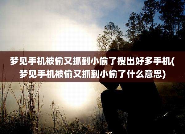 梦见手机被偷又抓到小偷了搜出好多手机(梦见手机被偷又抓到小偷了什么意思)