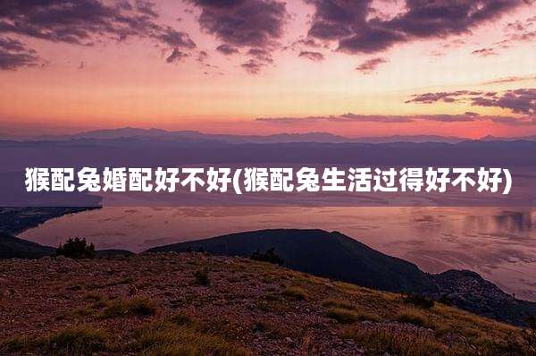 猴配兔婚配好不好(猴配兔生活过得好不好)
