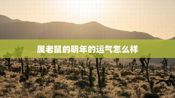 属老鼠的明年的运气怎么样