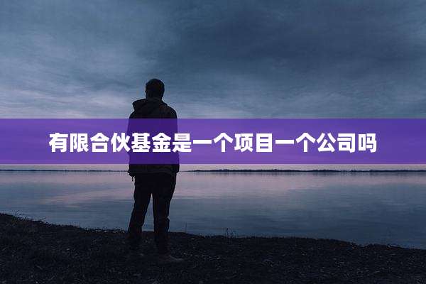 有限合伙基金是一个项目一个公司吗