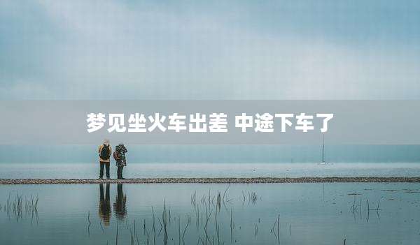 梦见坐火车出差 中途下车了
