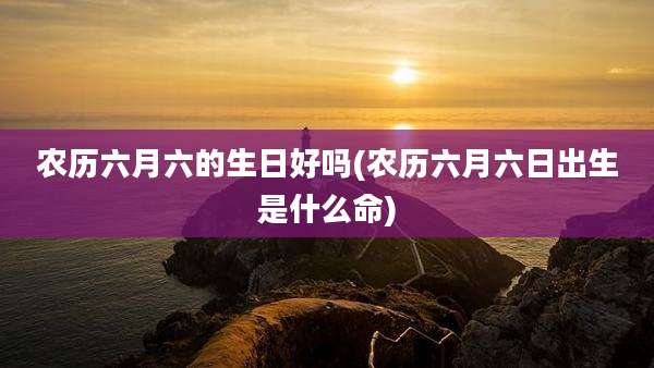 农历六月六的生日好吗(农历六月六日出生是什么命)