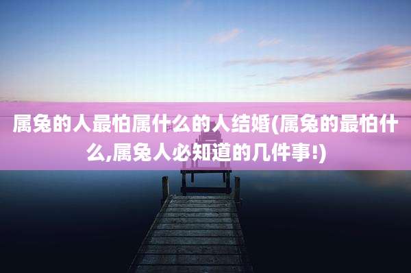 属兔的人最怕属什么的人结婚(属兔的最怕什么,属兔人必知道的几件事!)