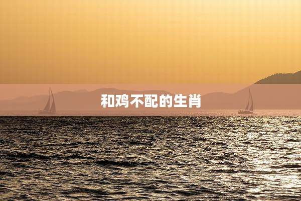 和鸡不配的生肖