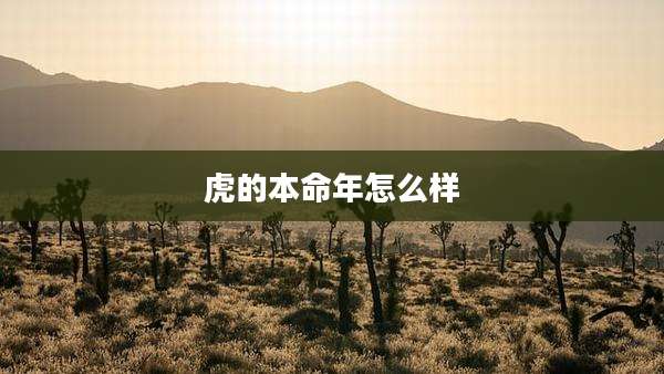 虎的本命年怎么样