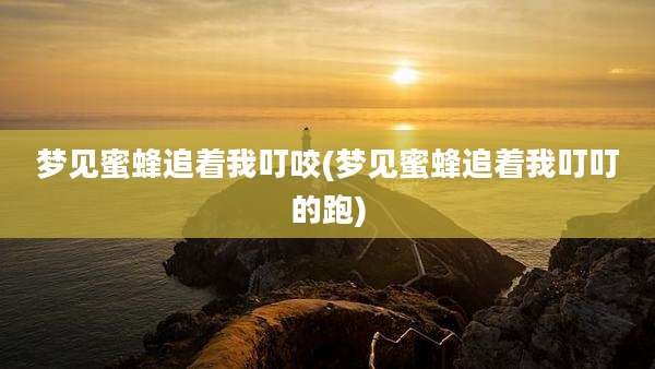 梦见蜜蜂追着我叮咬(梦见蜜蜂追着我叮叮的跑)